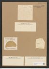 Campylodiscus undulatus Grev. (de-Toni-Nr.: Genus 57, Species 2447) Zeichnungen Sammlung Grunow Nr. 4922 (NHMW-BOT-W0373130)